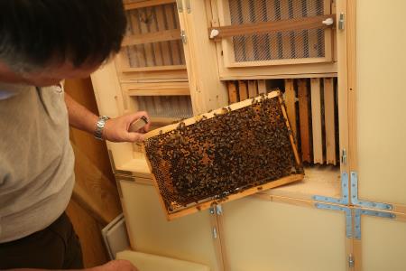 OTVORITEV IN PREDAJA ČEBELJNJAKA 30 FOTO LJUBO VUKELIČ